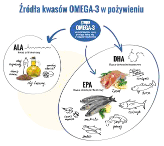 Znalezione obrazy dla zapytania omega 3 infografika