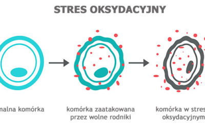 Sprawdź czy nie jesteś narażony na stres oksydacyjny?