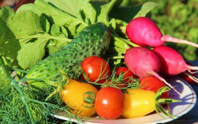 Odżywianie latem – termika pożywienia, produkty, wsparcie naturalnymi ziołami  i wyciągami z grzybów medycznych